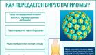 HPV ส่งผลต่อการตั้งครรภ์และเด็กอย่างไร?